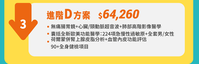 進階D方案